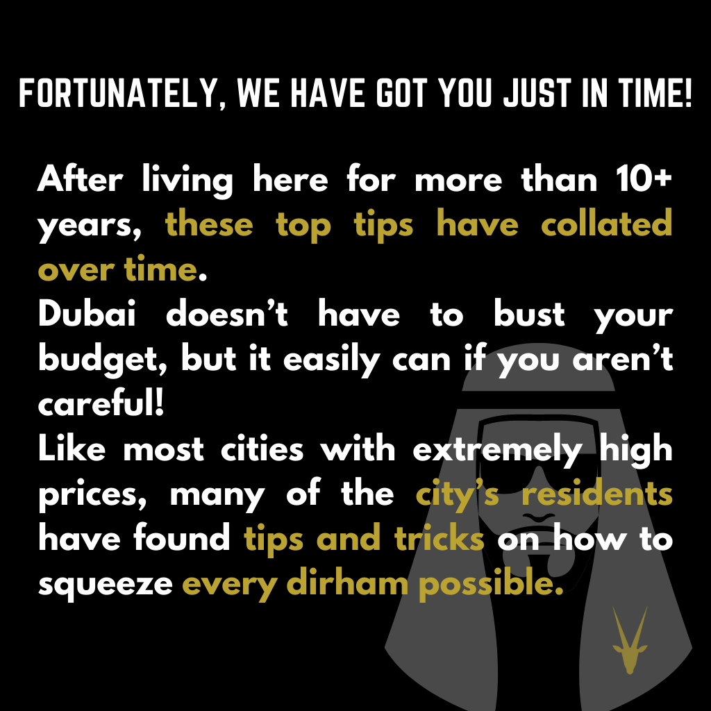 Dubai Guide with 10 Secrets