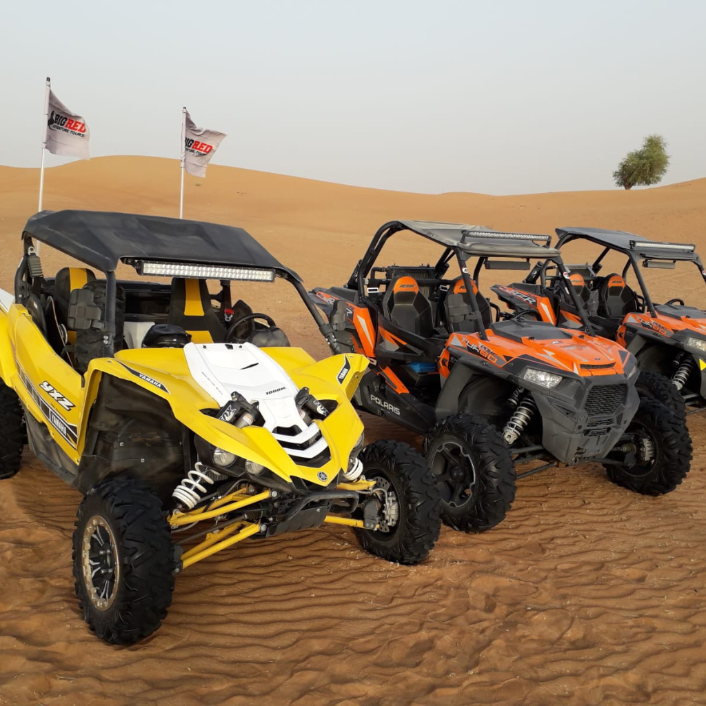 Desert Dune Buggie 2 Hours Tour