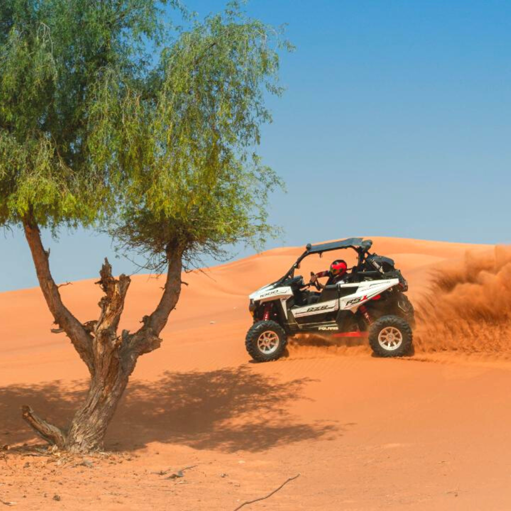 Desert Dune Buggie 2 Hours Tour