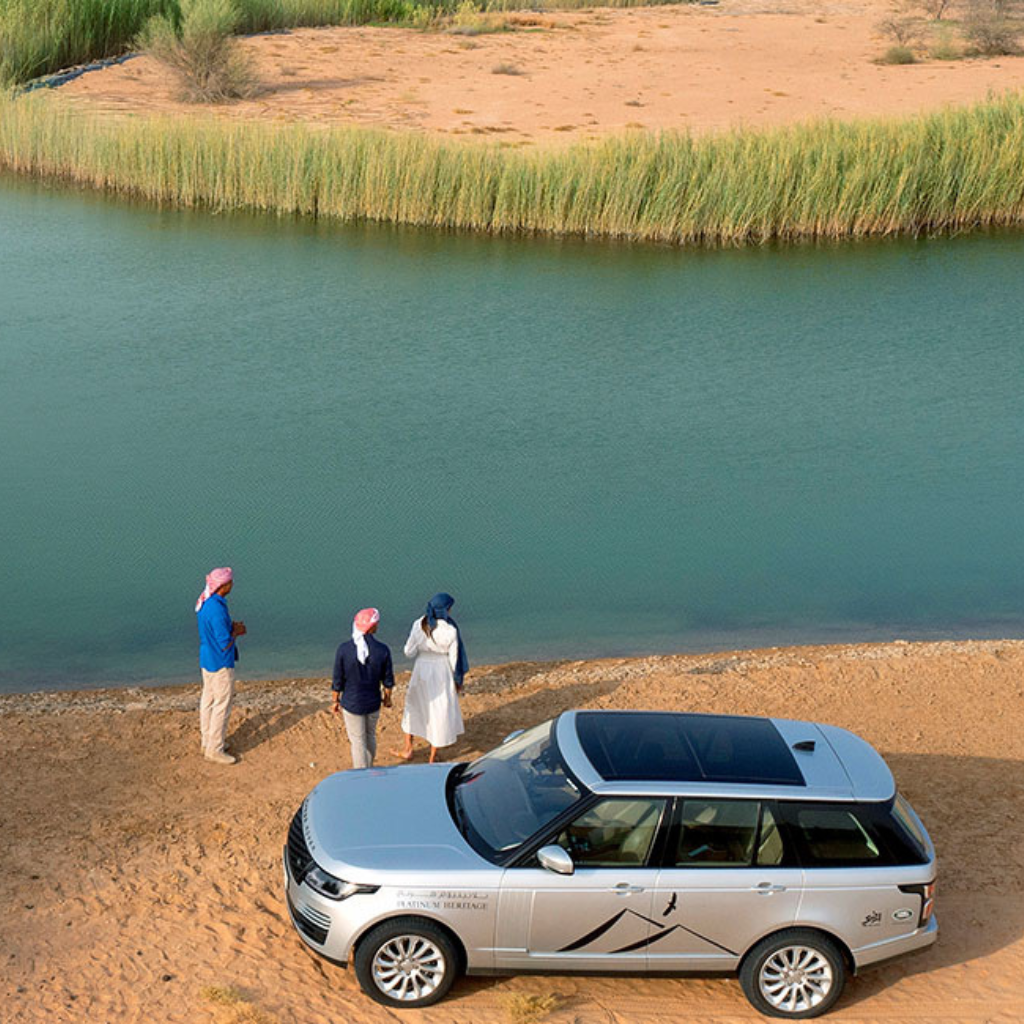 Luxury Platinum Safari Afternoon