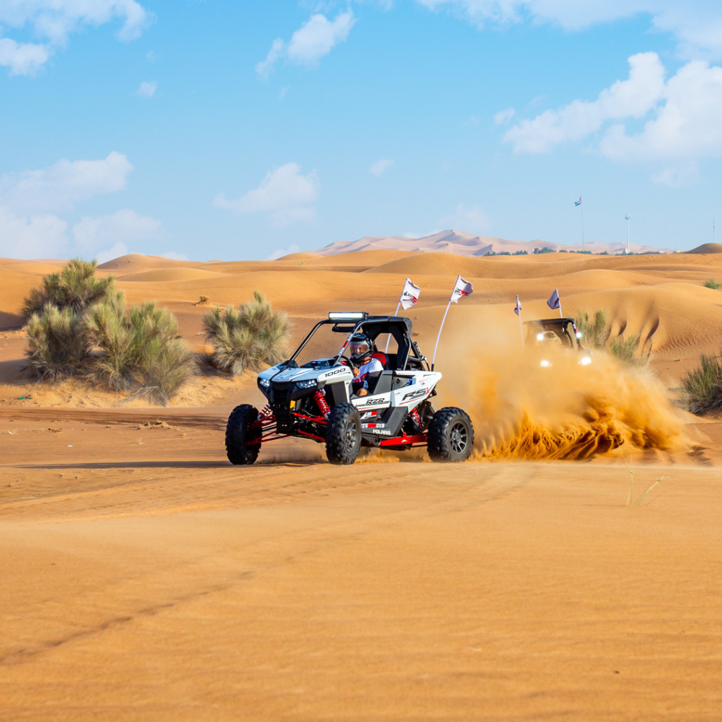 Desert Dune Buggie 2 Hours Tour