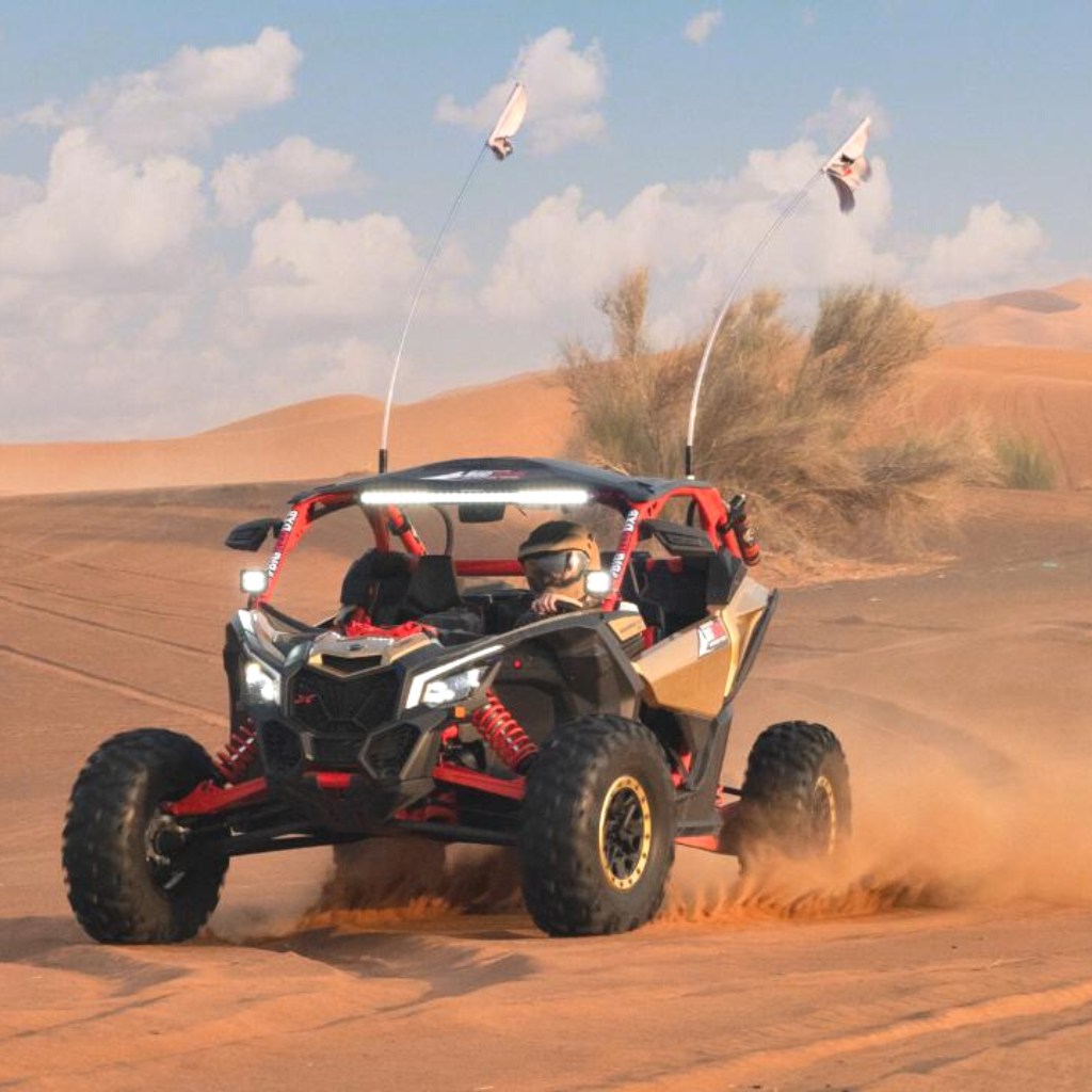 Desert Dune Buggie 2 Hours Tour